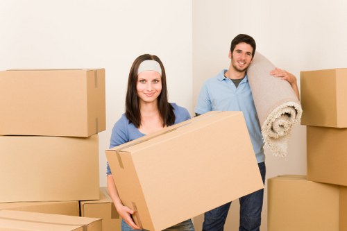 Eco-friendly packing and boxes for Lambeth relocations