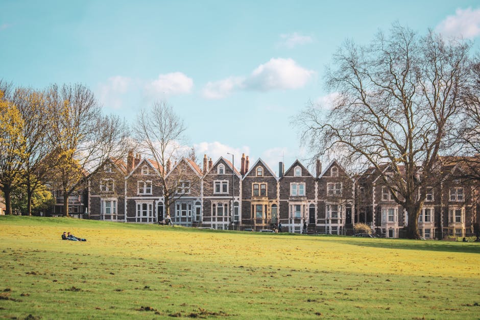 A row of terraced houses with brick and stone facades, large front windows, and pitched roofs is visible beyond a large, well-maintained green lawn. Several tall, leafless trees are situated along the line of houses, with a few smaller trees that have some yellow-green foliage on the left side of the image. In the foreground, a few people are lying on or sitting near the grass, and others are walking or standing along the pavement adjacent to the houses. The sky above is clear with a few fluffy white clouds, indicating a bright and sunny day. The scene captures an outdoor residential area typical of urban house removals or home relocation settings, with natural lighting highlighting the details of the houses and the open space of the grass, suitable for a professional removals company like Man With a Van Lambeth handling furniture transport and packing in the Clapham Common area.